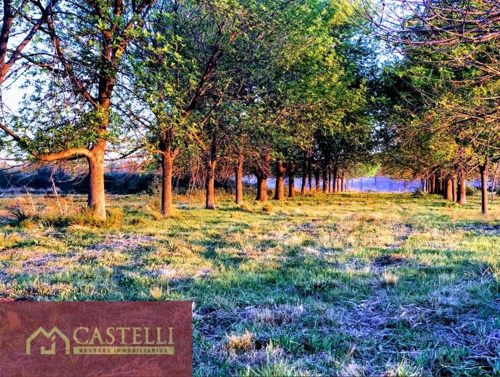 Terreno en venta en El Paso. Del Viso, Pilar - 1