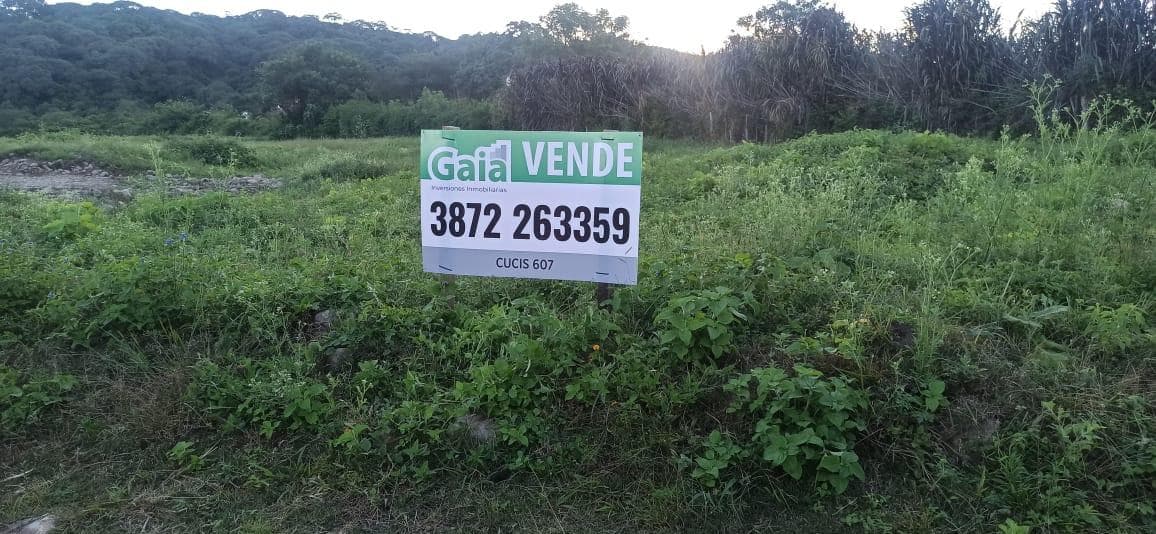 LOTEO SANTA CECILIA | VAQUEROS - 1