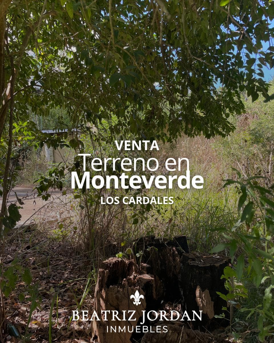 TERRENO EN VENTA BARRIO MONTEVERDE - 1