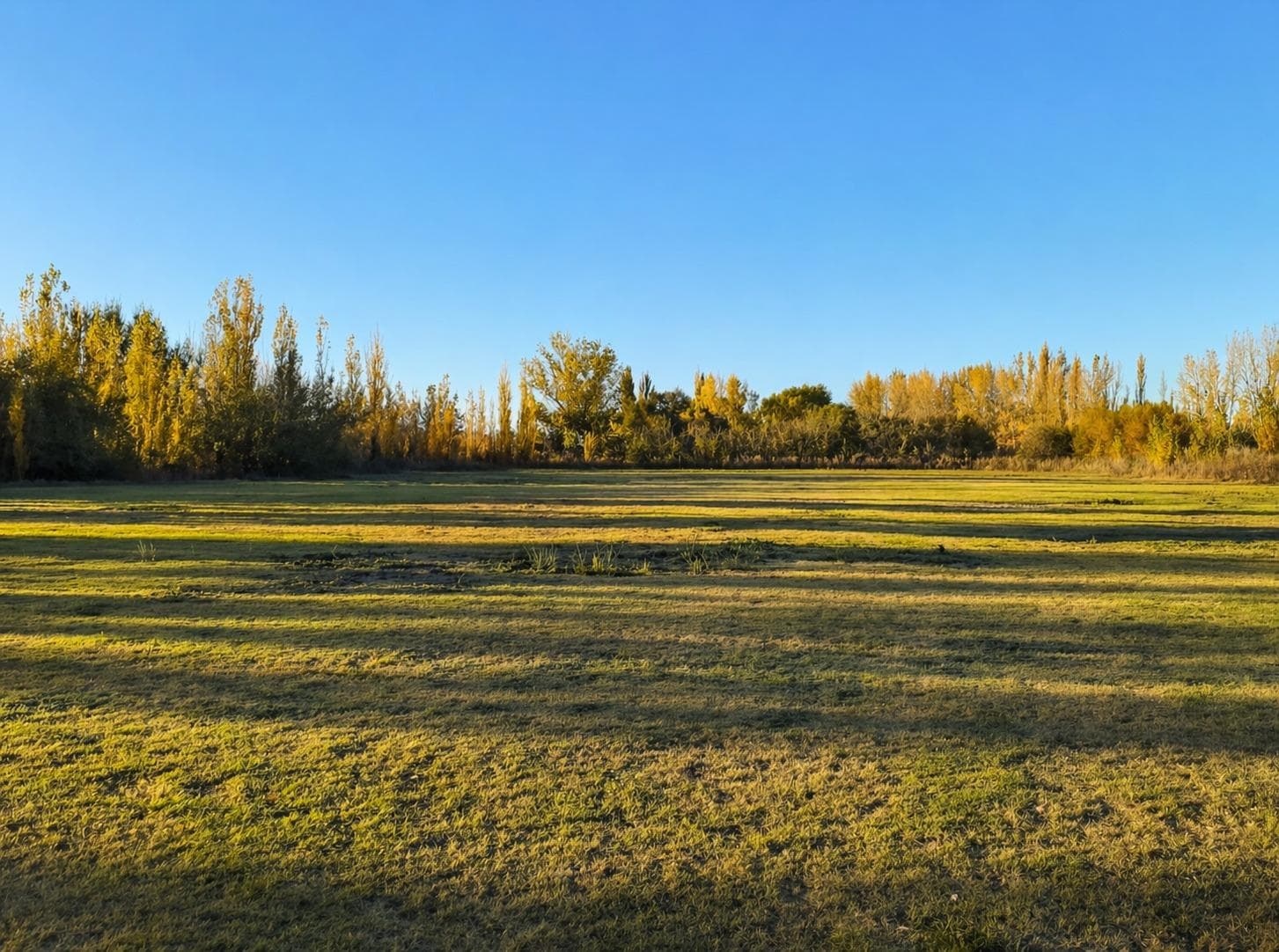 En Venta | 1 HA y Media | Calle Rio Colorado | Cinco Saltos - 1