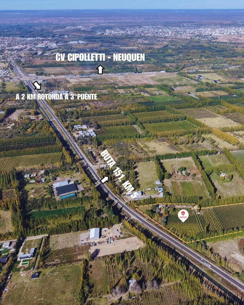 CHACRA CIPOLLETTI RUTA 151 - 1