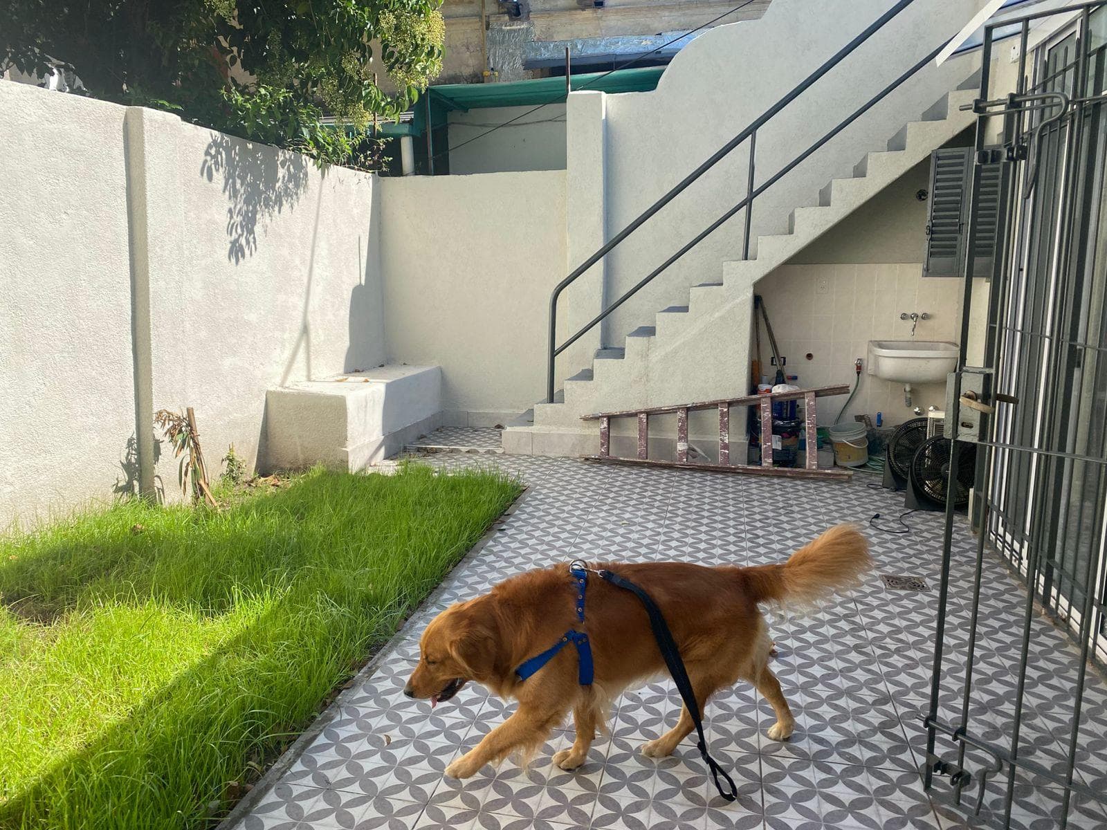 Casa 4 Amb. totalmente a NUEVO. con Patio y terraza - 1