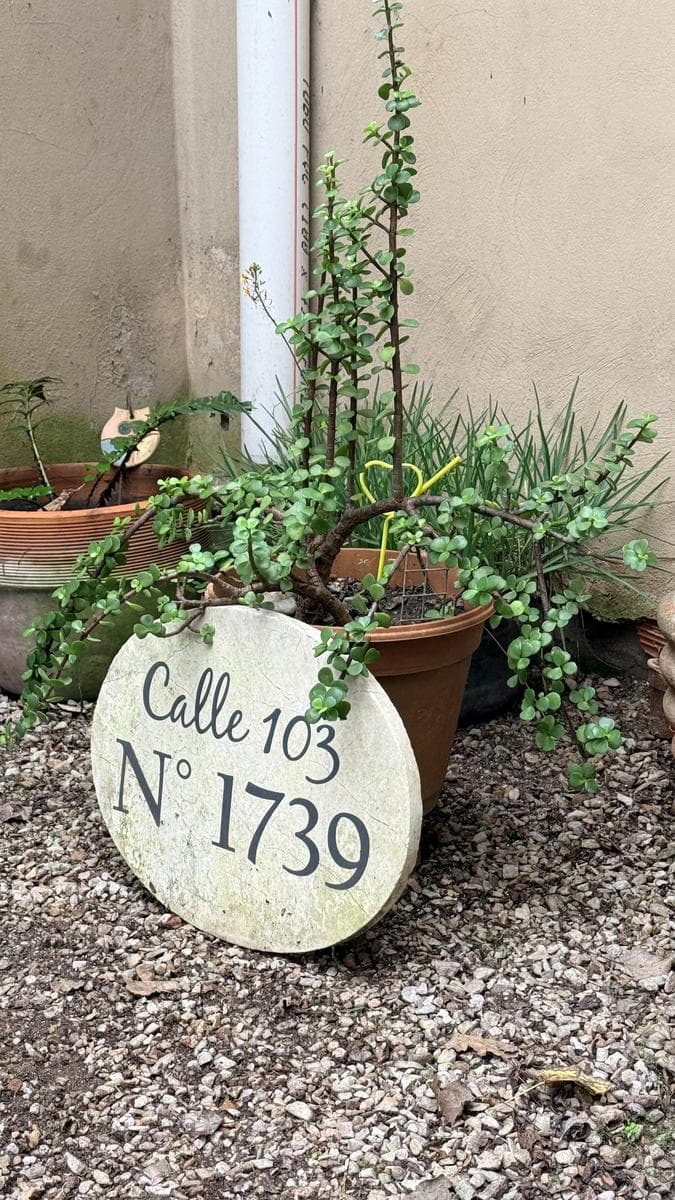 Casa 3 ambientes - 1