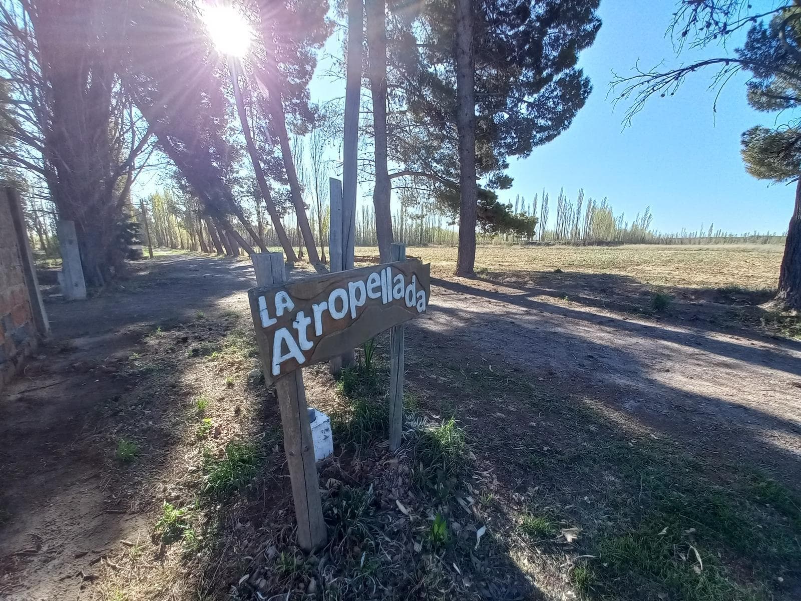 VENTA DE TERRENO CON CHACRA EN RIO COLORADO - 1