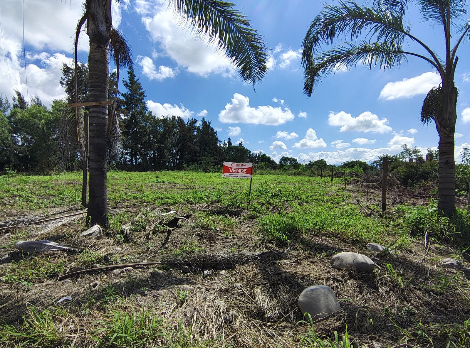 Terreno en Quinta del Carmen - 1