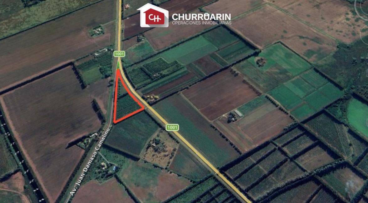 Ruta 1001 rio tala - 1