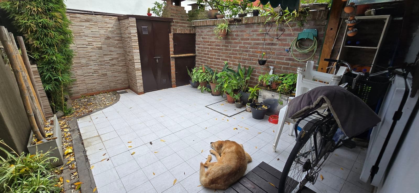 SENTÍ TU CASA, SIN MOVERTE DE OLIVOS : TRIPLEX de 3 DORMITORIOS, PATIO PARRILLA Y COCHERA - 1