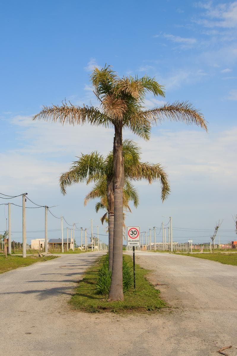 CHA Venta Lote 3700m2 El Lazo Capilla del Señor - 1