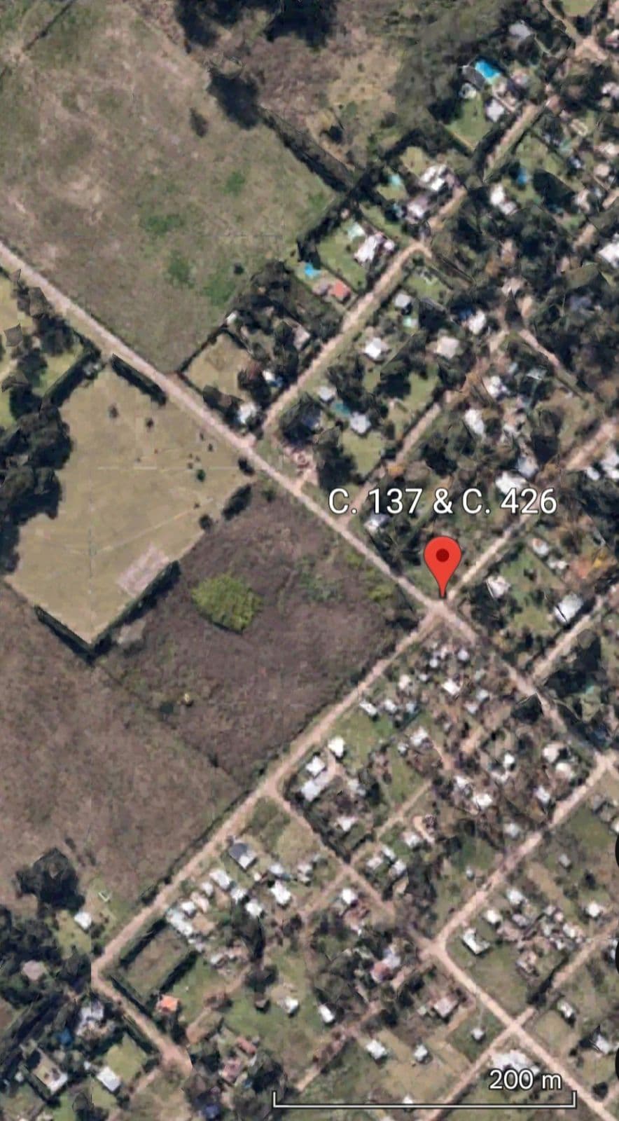 Campo - Arturo Segui - 1