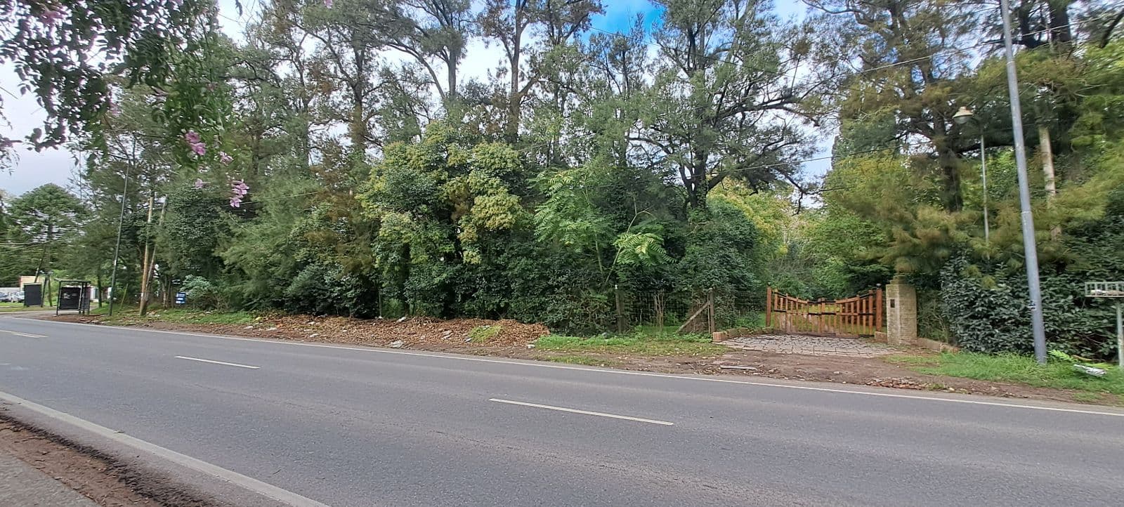 Terreno - Villa Elisa - 1