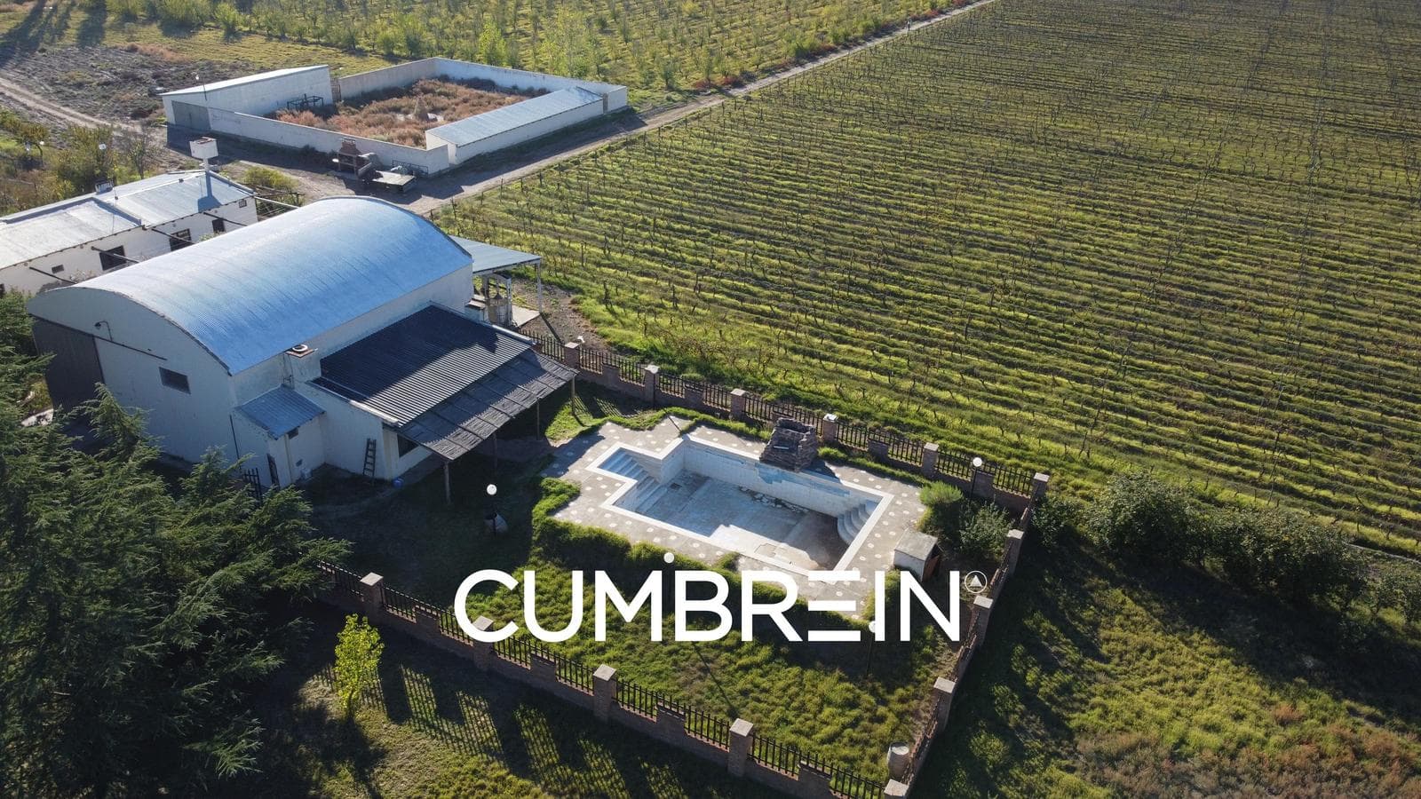 Bodega de Exportación Premiada Internacionalmente y Viñedos de Alta Gama en San Rafael | Cumbrein - 1