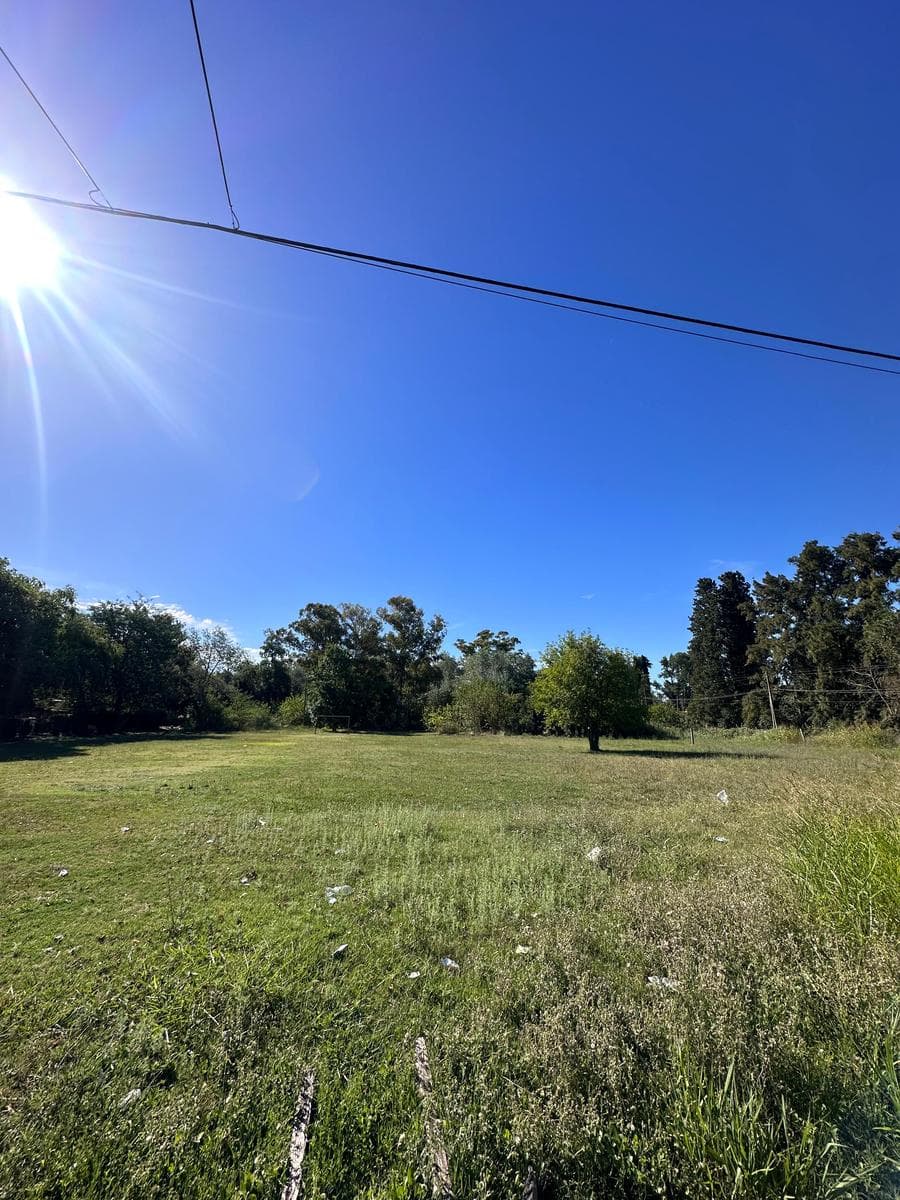 Terreno en La Lonja venta - 1