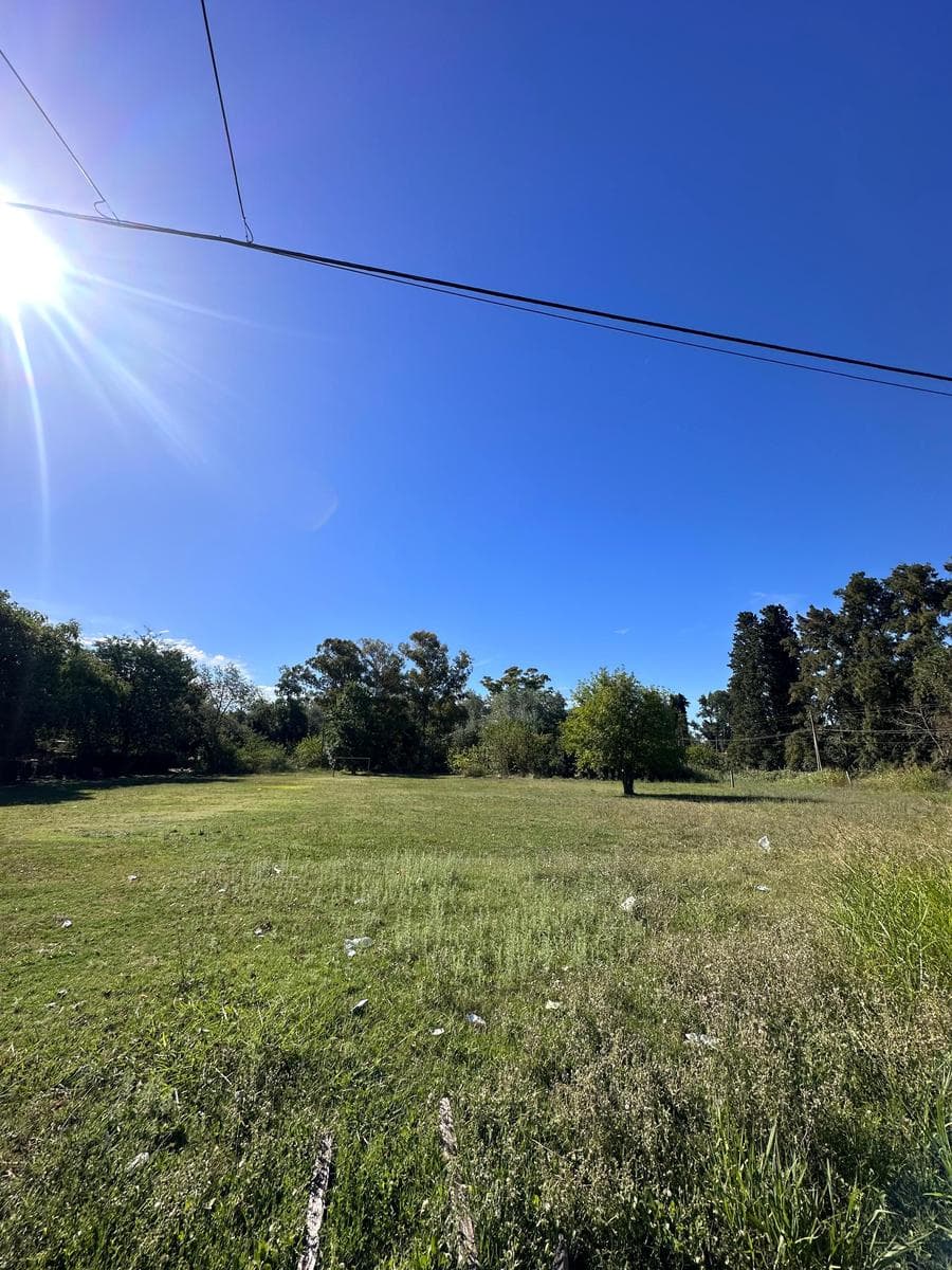 Terreno en La Lonja venta - 1