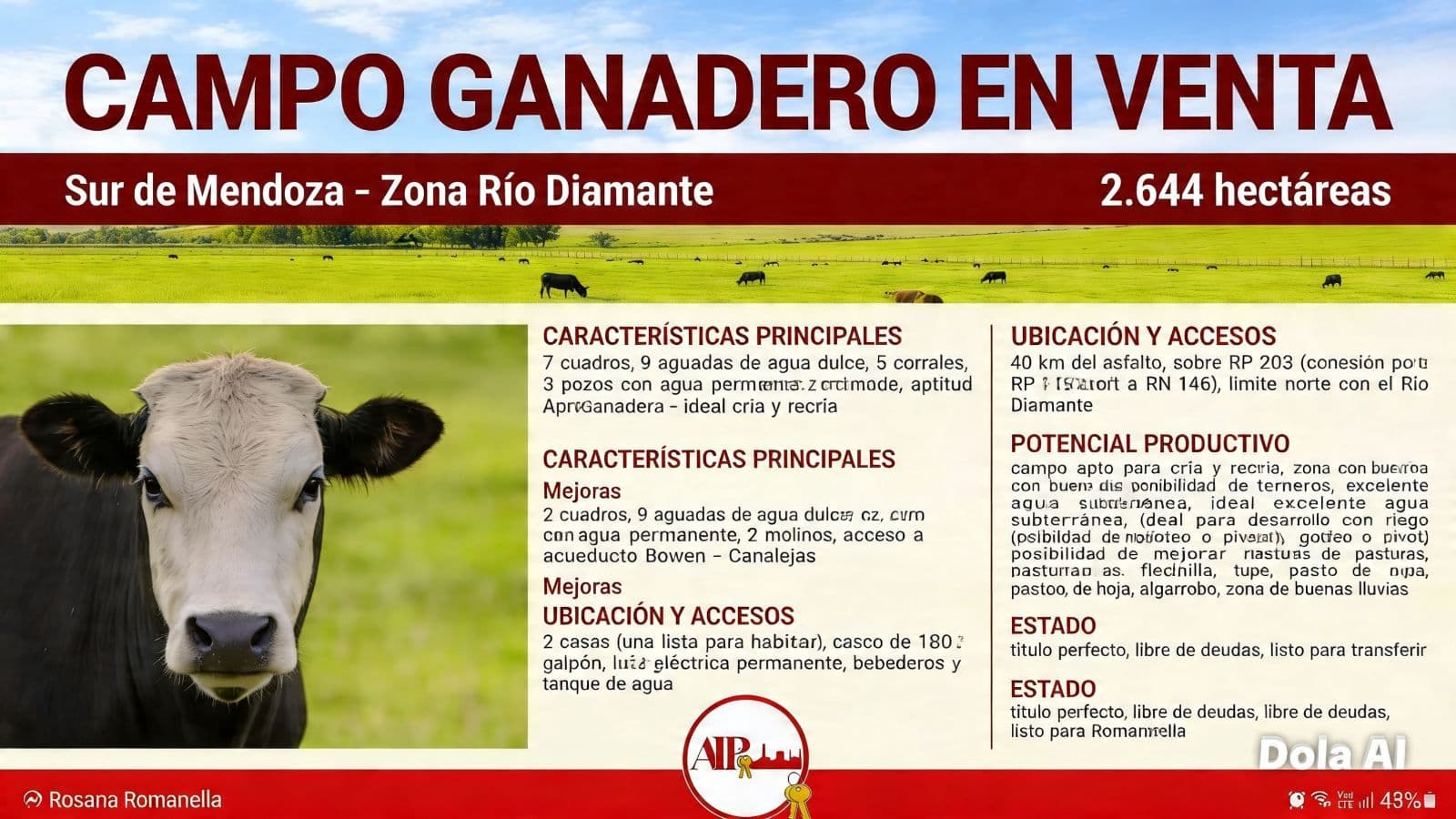 Campo - General Alvear - 1