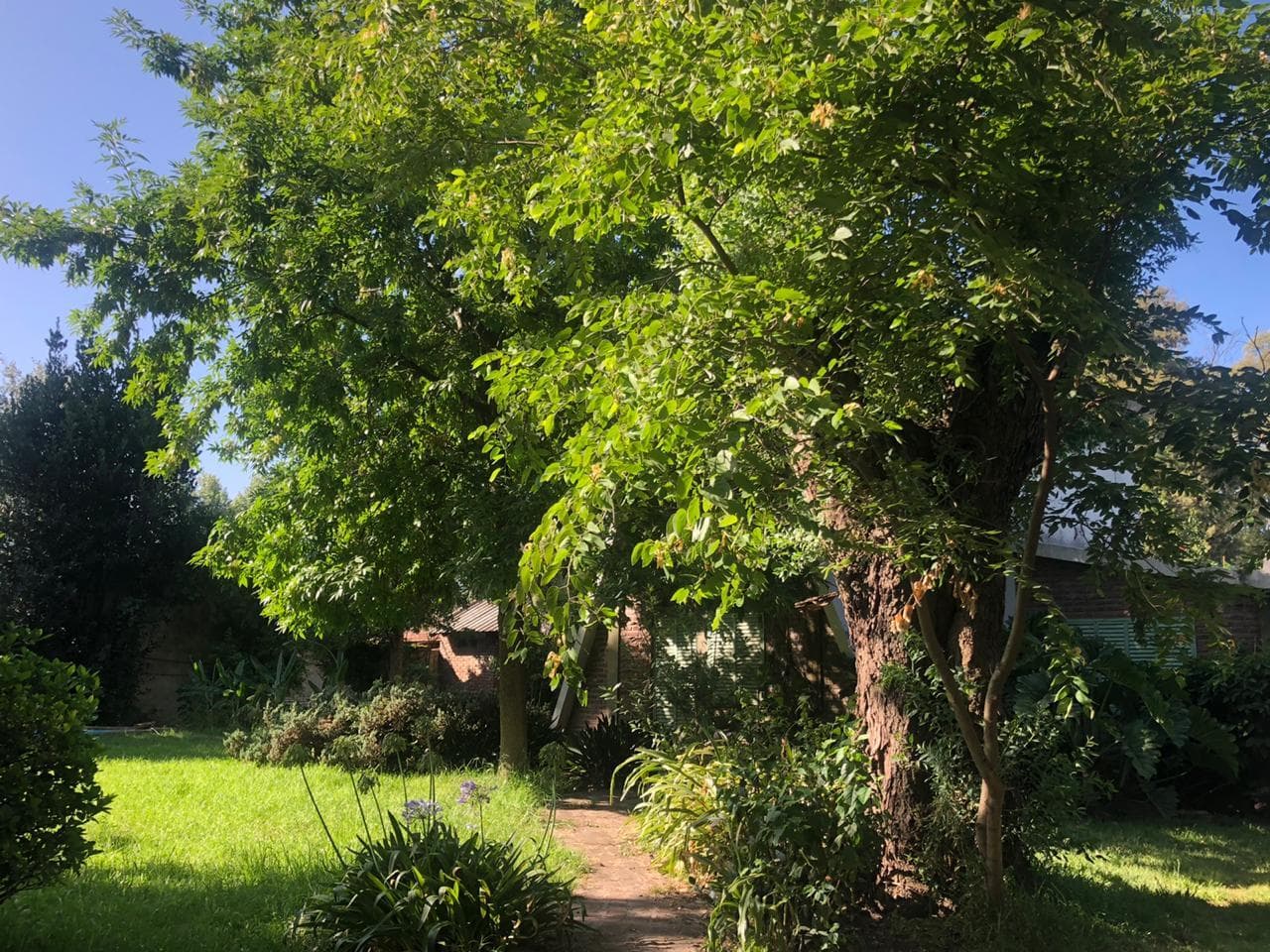 Terreno con casita alpina en Bella Vista - 1