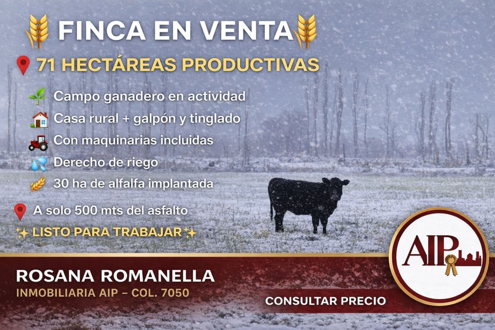 Campo - General Alvear - 1