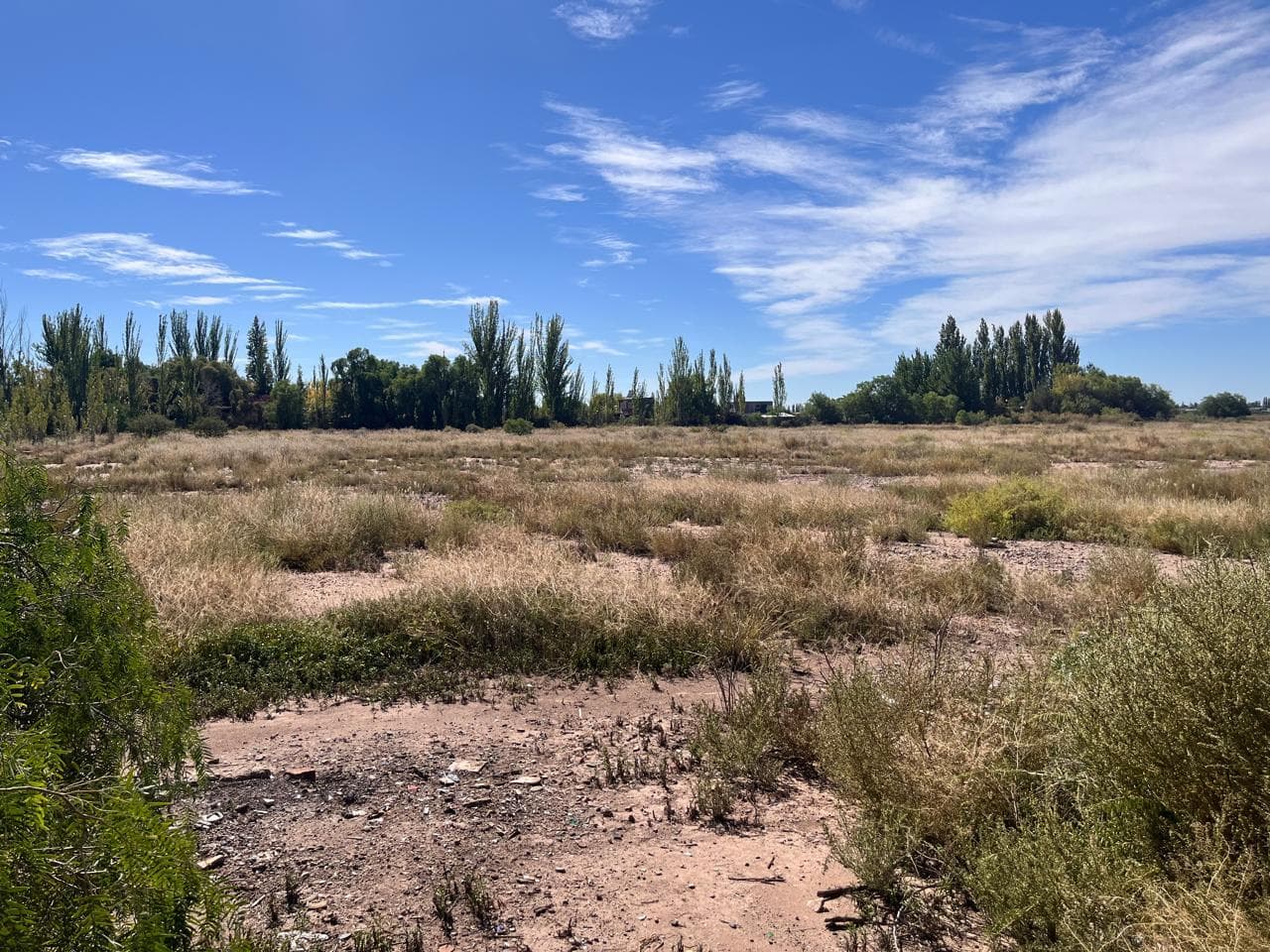 Terreno en Lunlunta - 1