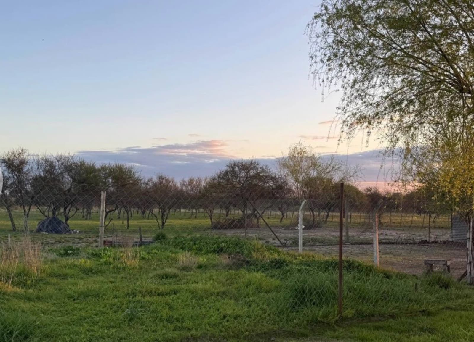 Chacra - Gualeguaychu - 1