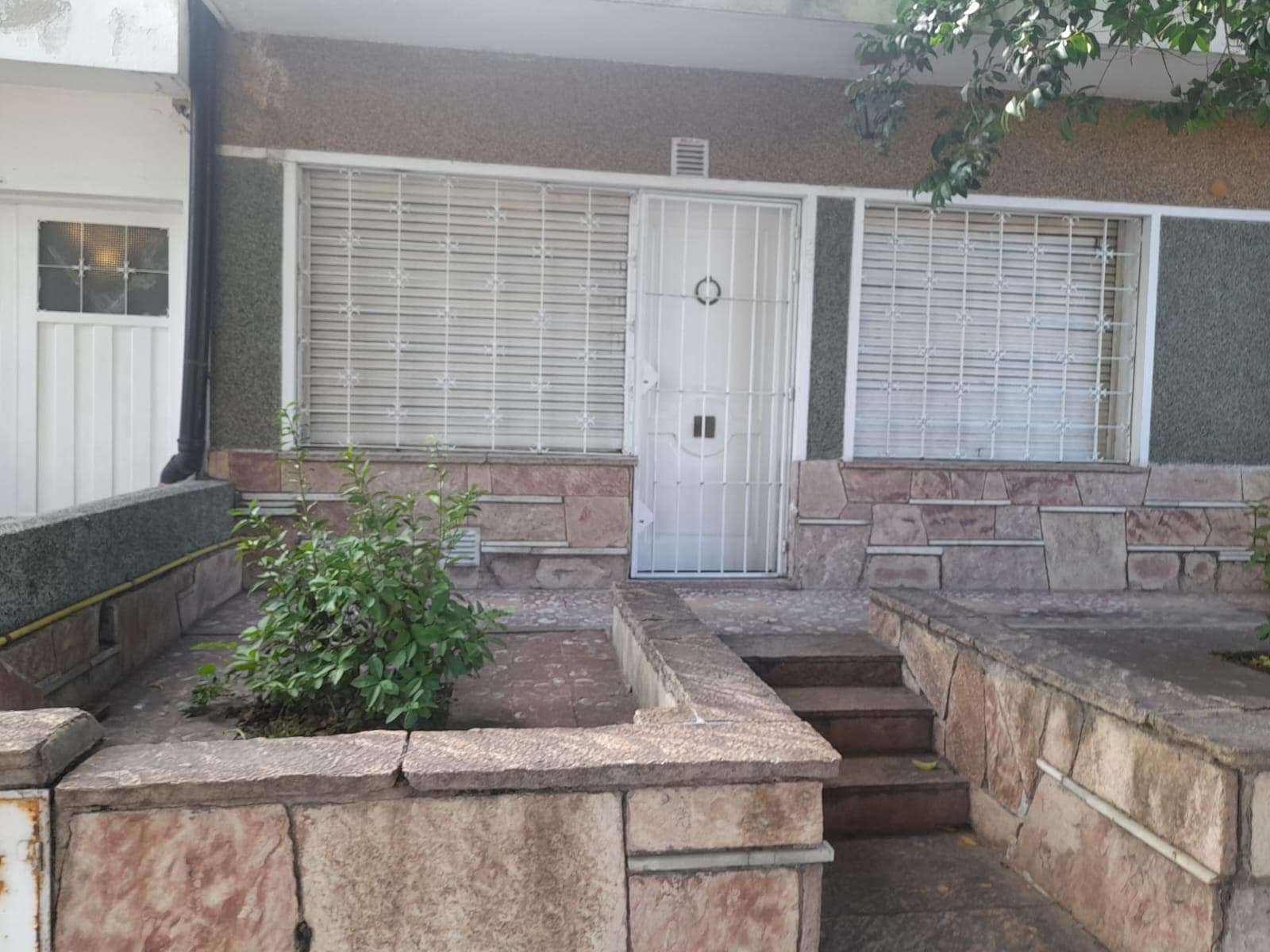 Alto Alberdi casa con amplio patio - 1