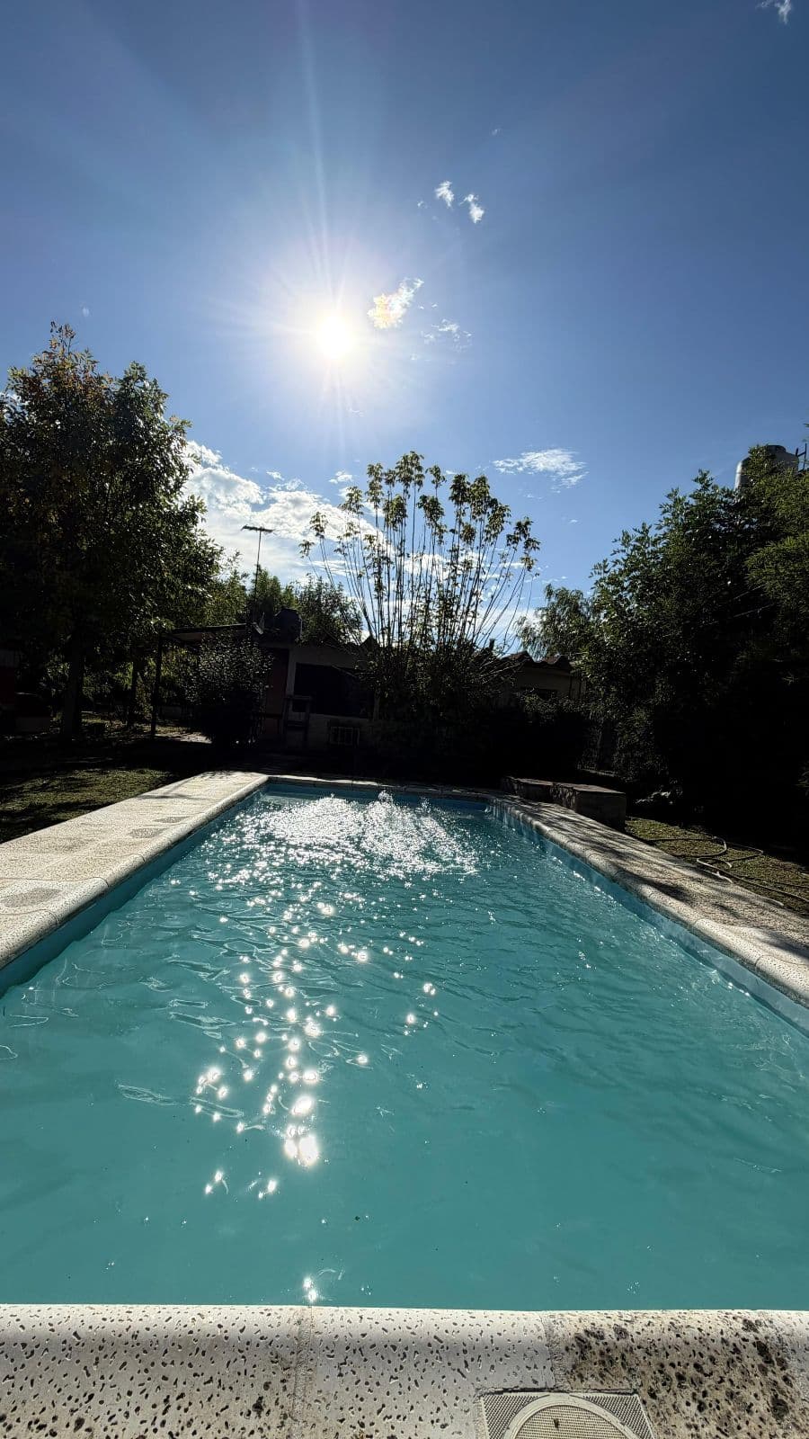 Quinta - Domselaar - 1