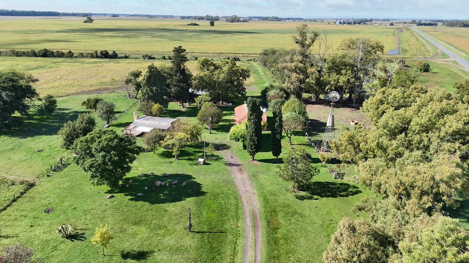 Venta de Campo 77 hectáreas, Baradero, Provincia de Buenos Aires, productivo agrícola - 1