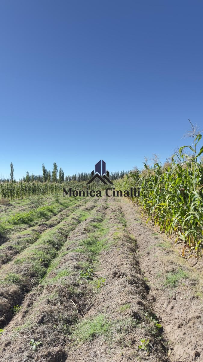 Terreno en Villa Regina - 1