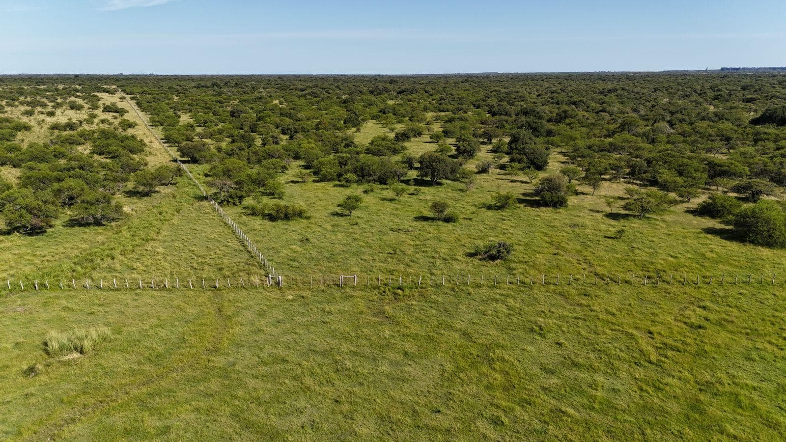 Campo en San Jaime De La Frontera - 1