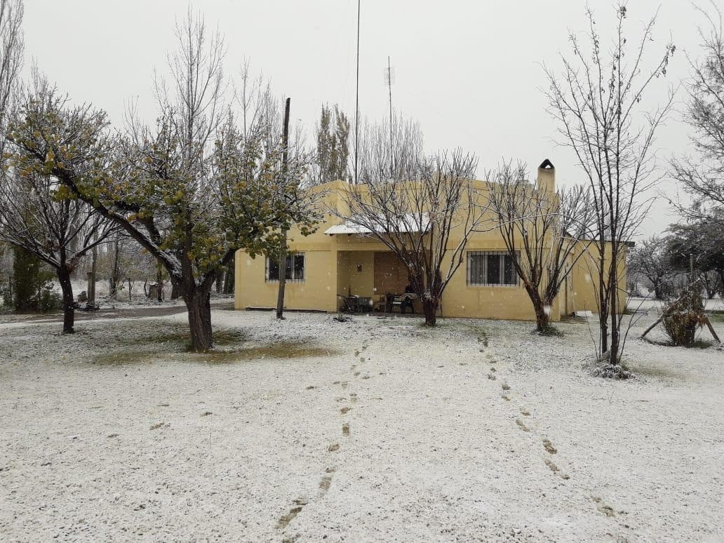 FincaFinca de 7 hectáreas en Jaime Prats, San Rafael, Mendoza – USD 115.000 Posibilidad de permuta por propiedad en Zona Norte o CABA - 1