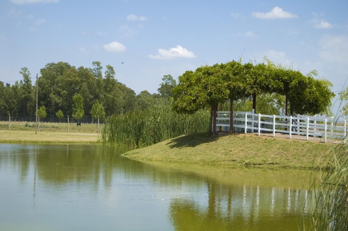 Campo Gral. Rodriguez, ideal MULTIPLES ACTIVIDADES - 1