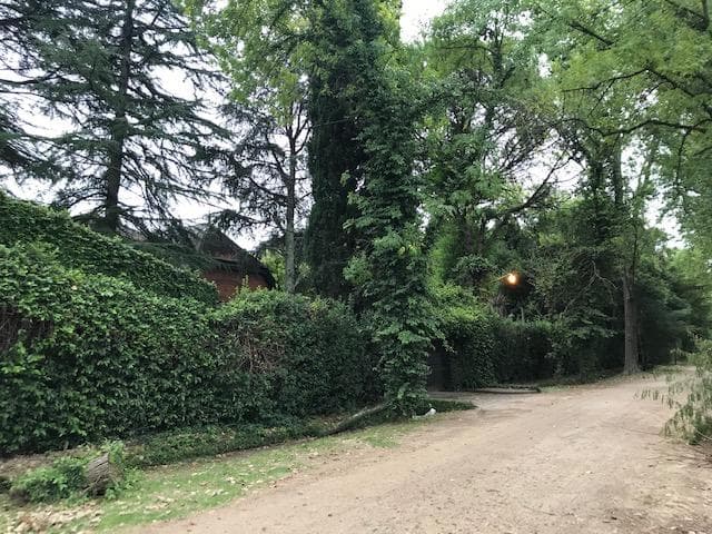 Terreno - Villa Elisa - 1