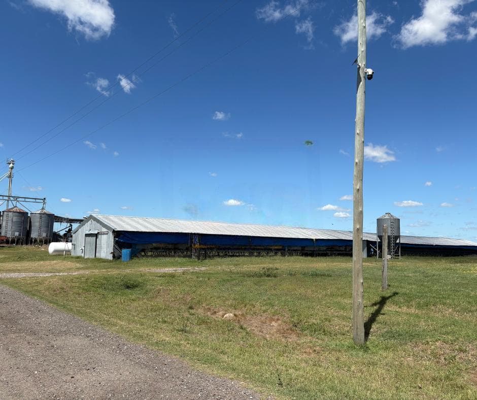 Campo en General Belgrano - 1