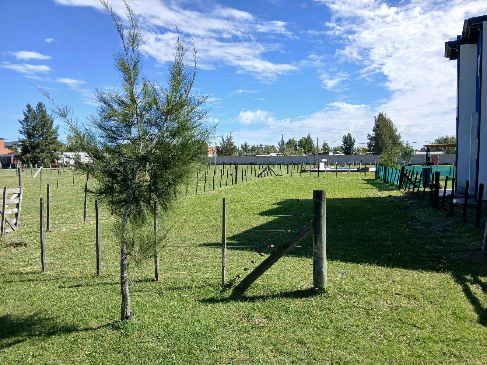 Gran Lote con precio inmejorable en el barrio Domselaar Chico urgente VENTA - 1