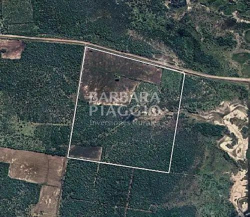 Campo Mixto 122 Ha - Agrícola Ganadero - Vera, Santa FE - 1