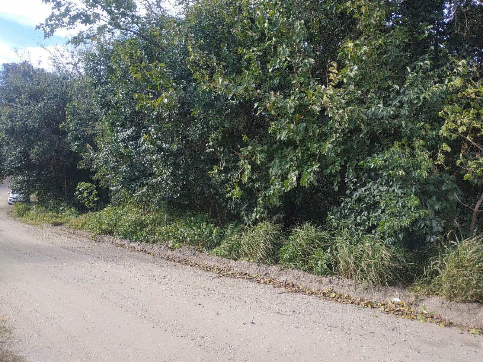 Terreno - Agua De Oro - 1