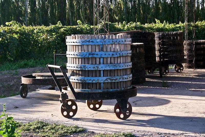 Chacra - Mainque - 1