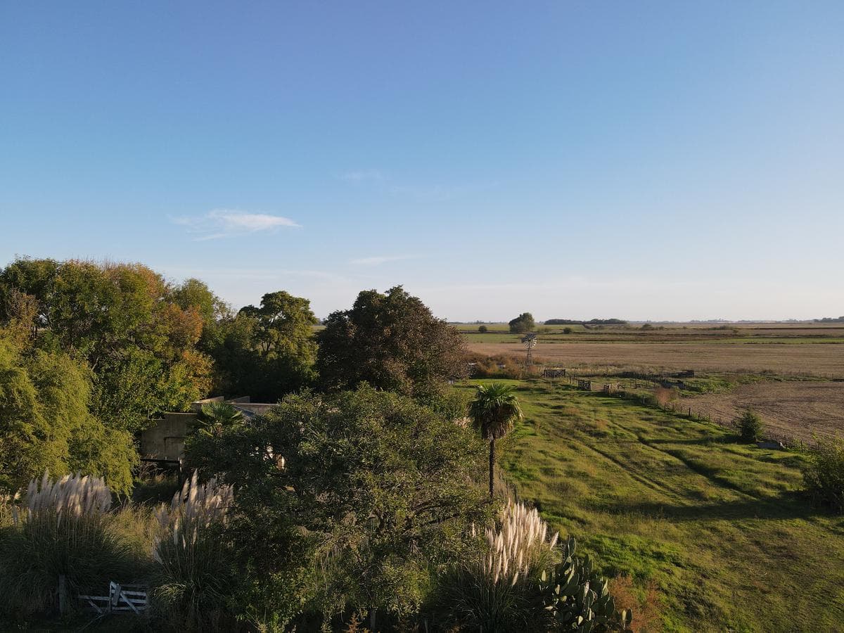 Campo mixto de 340 has sobre ruta 2 !! - 1