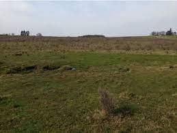 Campo - Guernica - 1