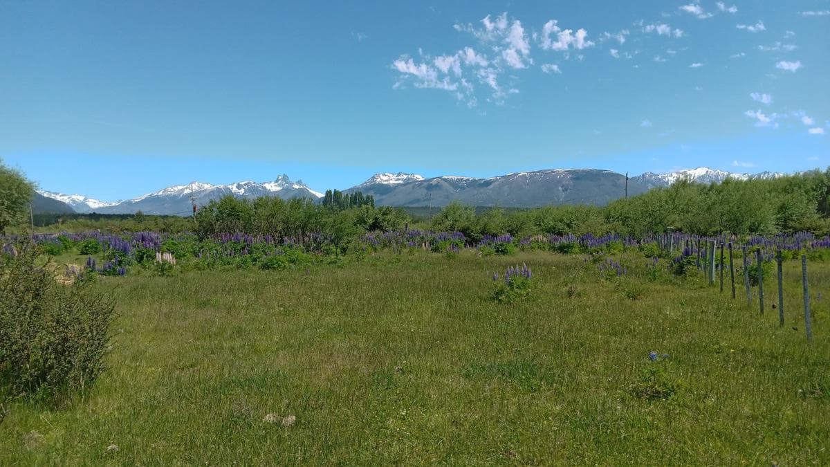 Chacra - Cholila - 1