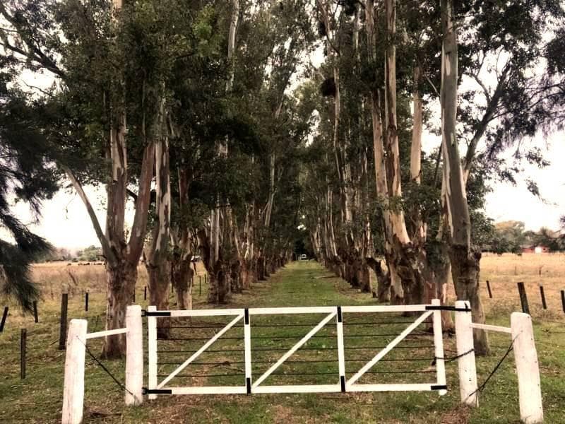 Fracción de 14 has. C/Mejoras en excelente ubicación - Torres - Luján - 1