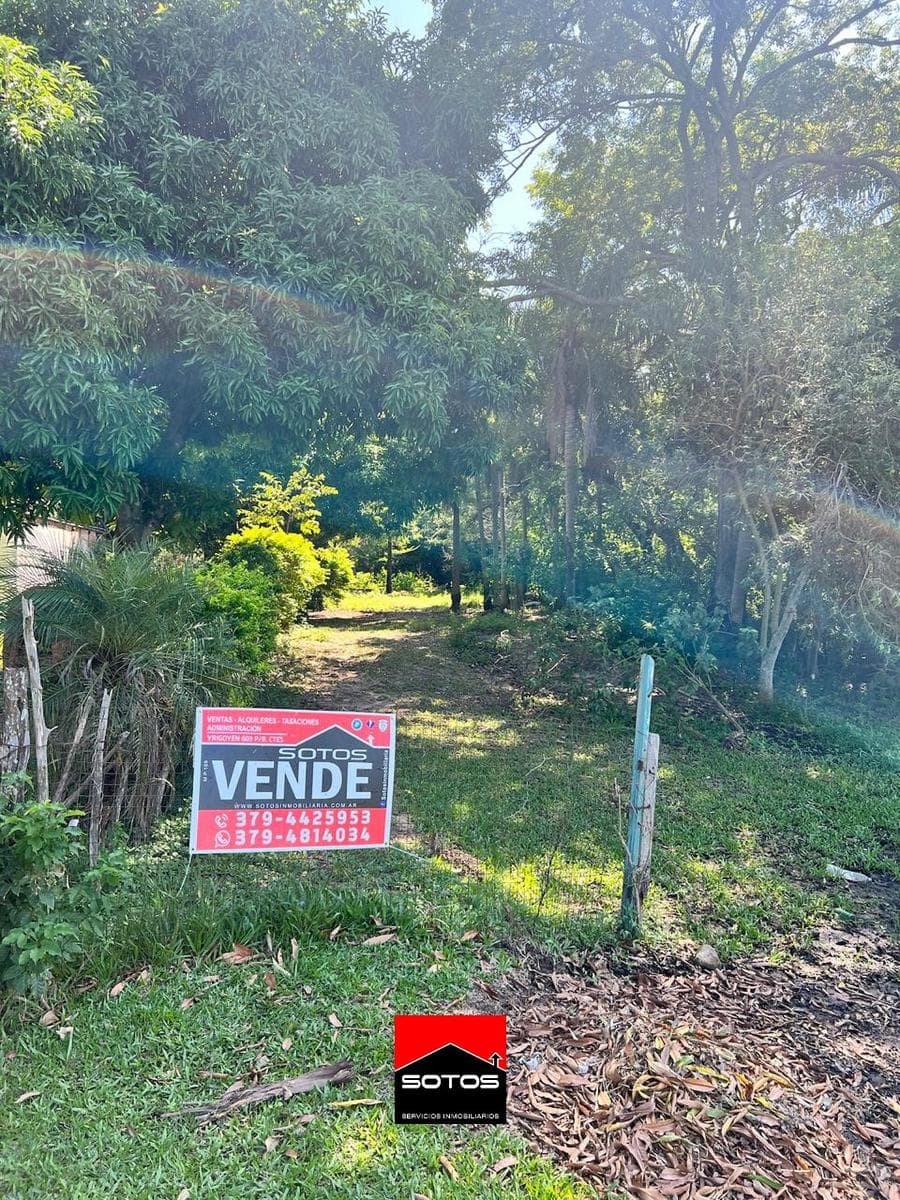 Terreno en San Cosme - 1