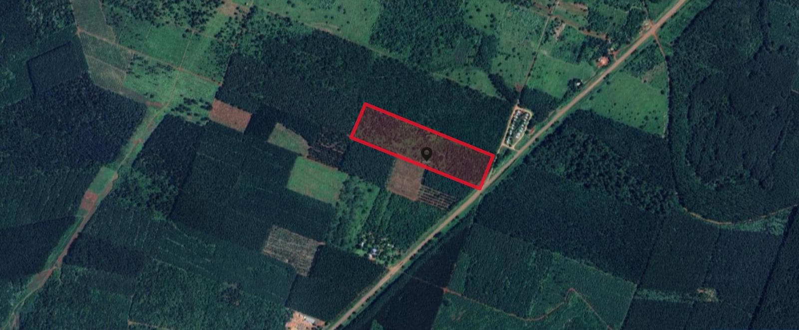 8,6 has en venta sobre Ruta 12 - Montecarlo - 1