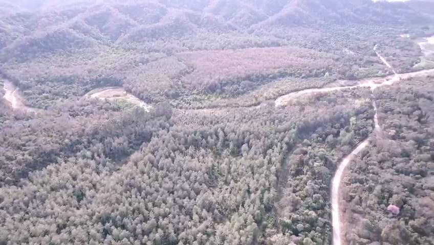 Campo en venta de 6300 has en San Ramon De La Nueva Oran - 1