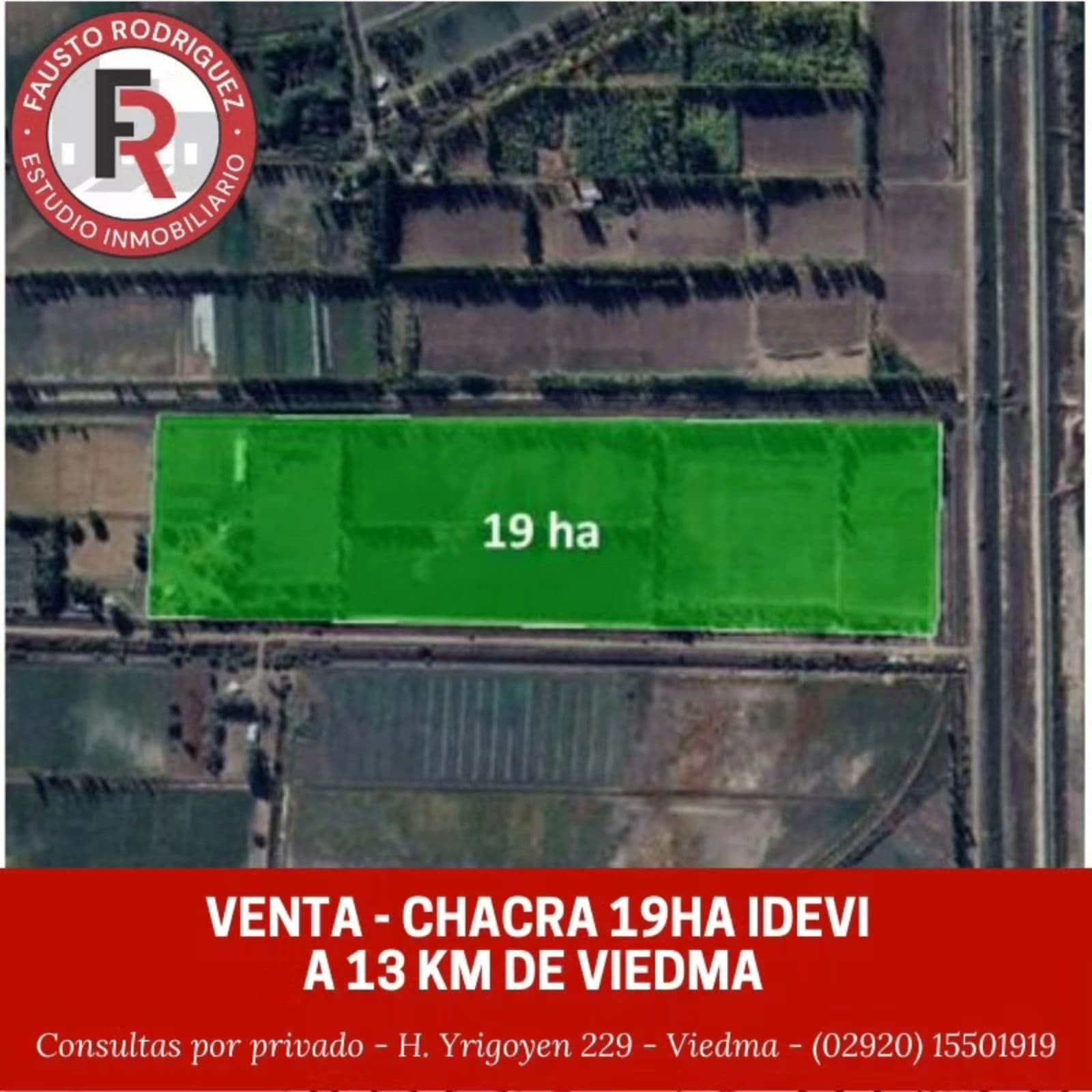 Chacra - Viedma - 1