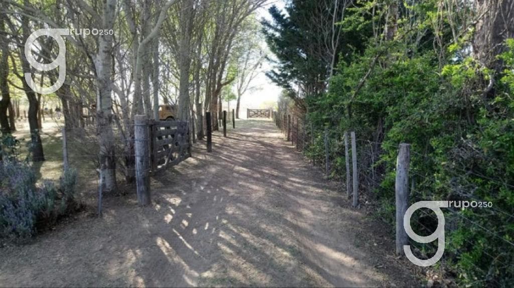 Quinta - Rio Cuarto - 1