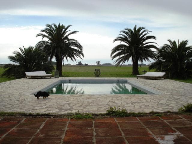 Venta Campo Buenos Aires Ranchos 256 ha - 1