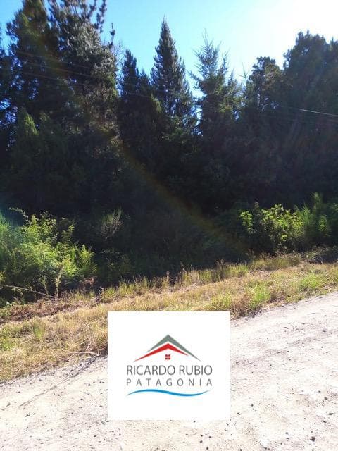 Chacra - Cerro Radal - 1