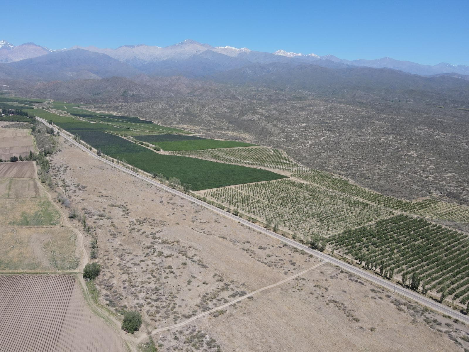 Campo en Venta de 30.000 has con producción de uva, ideal proyecto inmobiliario Valle de Uco Mendoza - 1