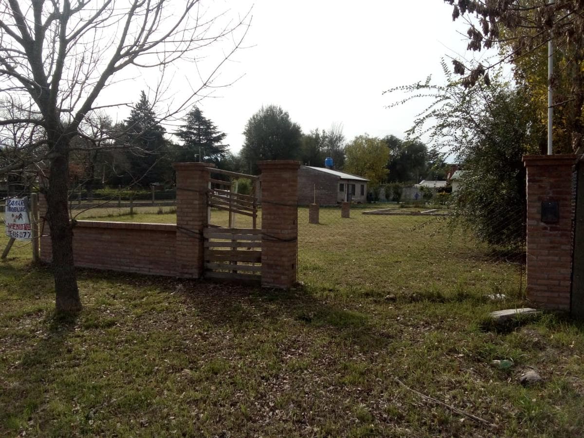 Terreno - Andino - 1