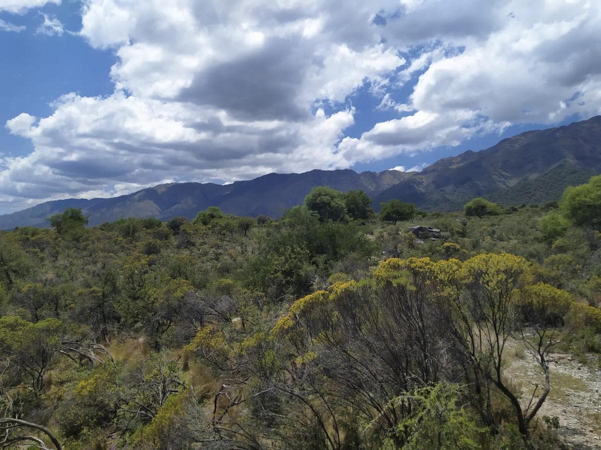 Terreno - La Paz - 1