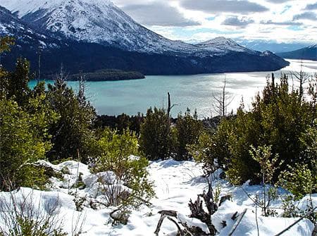 VENTA OPORTUNIDAD : 292,49 Hectáreas increíbles con vista al Lago Gutiérrez Ruta 40 - Bariloche - 1